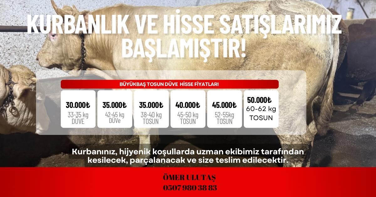 ULUTAŞ HAYVANCILIK 0532 056 14 38 