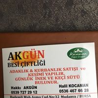 AKGÜN BESİ ÇİFTLİĞİ Mudanyada Adaklık Kurbanlık Satanlar