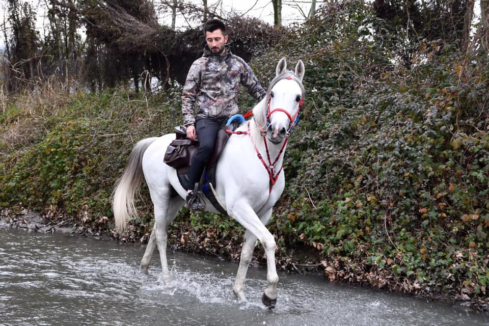 KARTEPE AT ÇİFTLİĞİ Kartepede At Biniciliği,