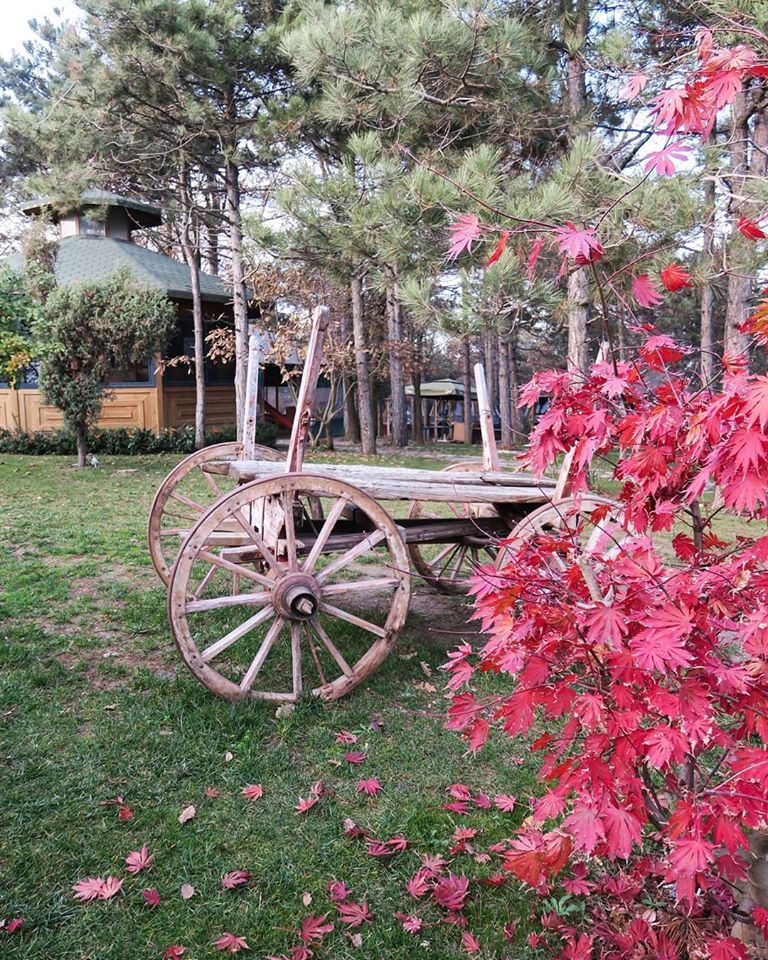 ADEN BOĞAZKÖY TESİSLERİ Arnavutköyde Et Mangal Nerede Yenir