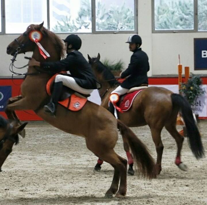 KENANBEY BİNİCİLİK KLÜBÜ Sancaktepede At Biniciliği