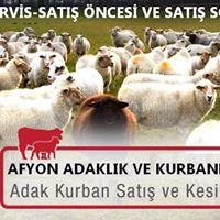 ÇAVDAR BESİ ÇİFTLİĞİ  Afyonkarahisarda Kurbanlık Adaklık Satanlar