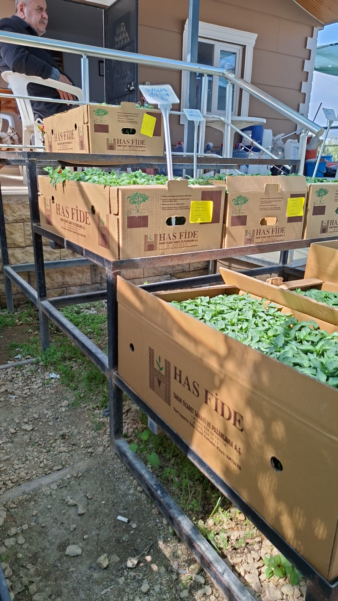 MERKEZ FİDE FİDAN 0507 123 58 94