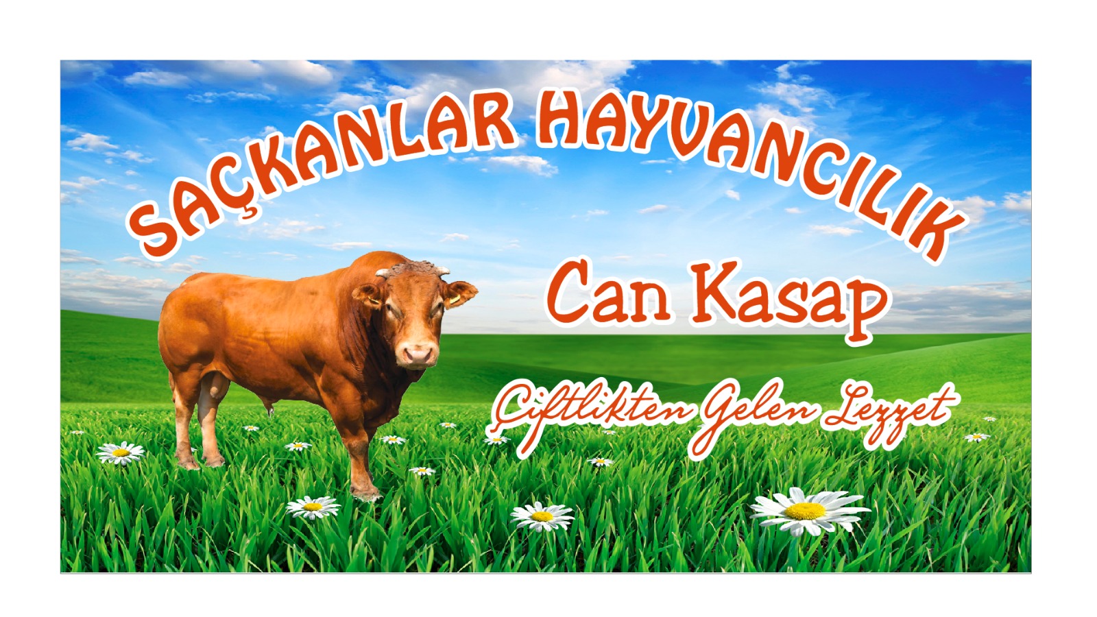 SACKANLAR HAYVANCILIK 0542 337 41 99