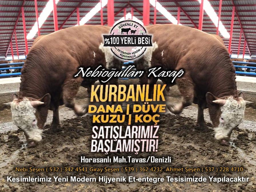 NEBİOĞULLARI KASAP 0539 362 42 32 TAVASTA KASAP