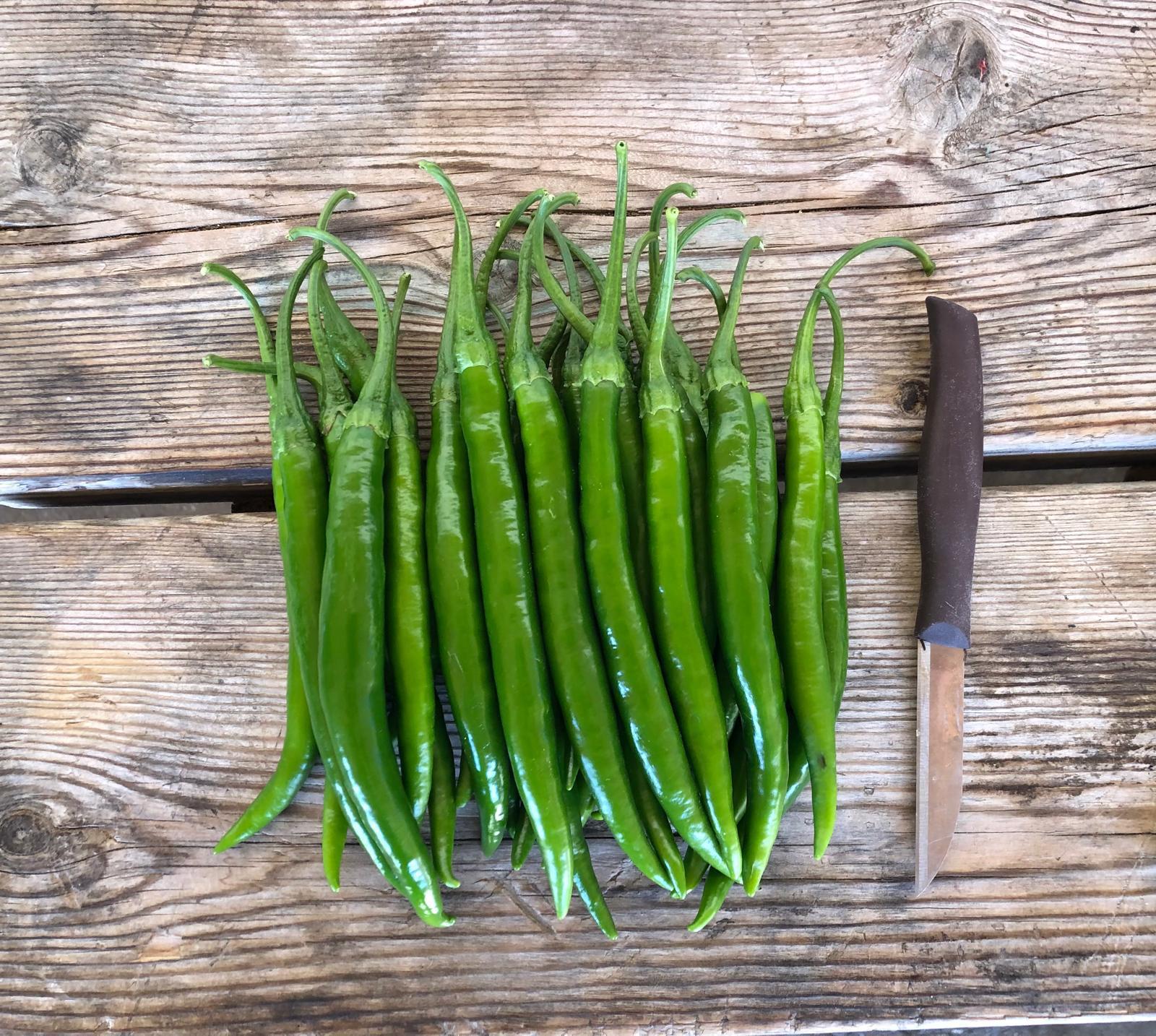 MERKEZ FİDE FİDAN 0507 123 58 94