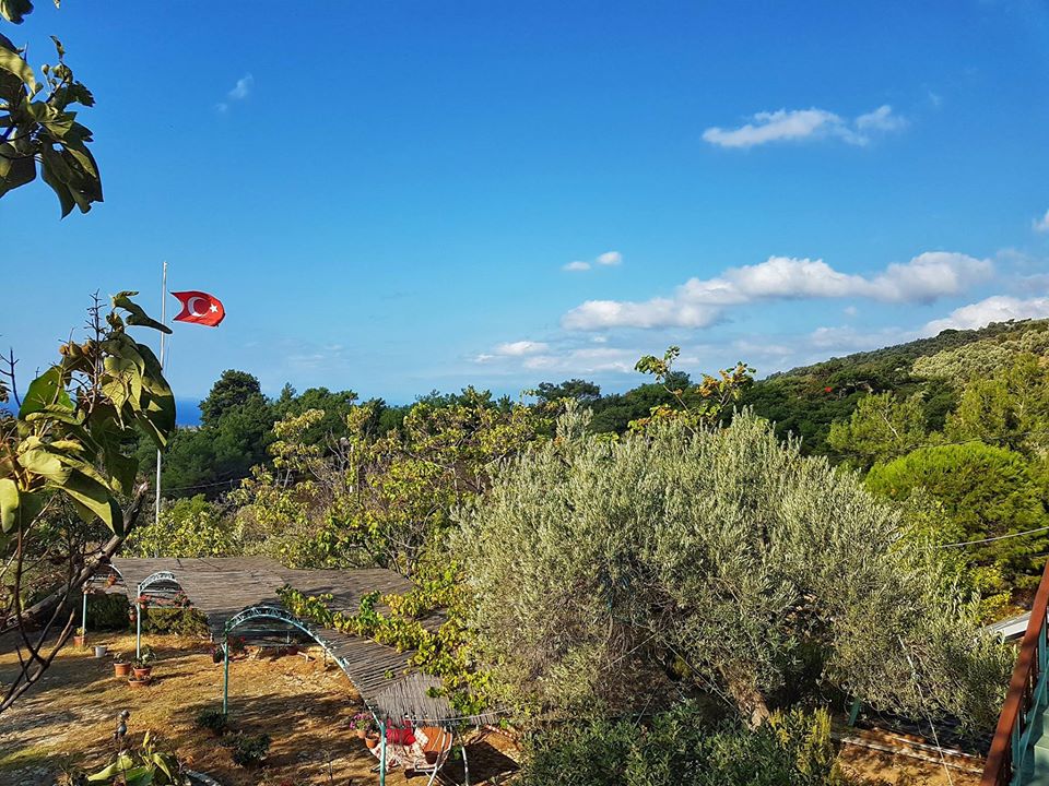 ALBATROS DAĞ EVLERİ Edremitte Dağ Evleri