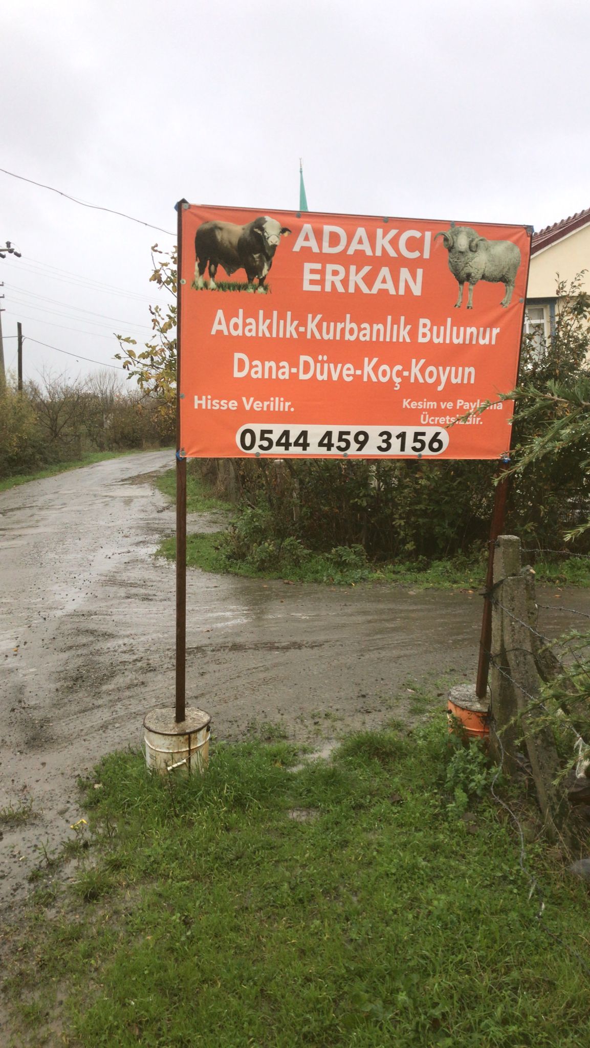 ADAKÇI ERKAN 0544 459 31 56 ONDOKUZ MAYISTA ADAKLIK