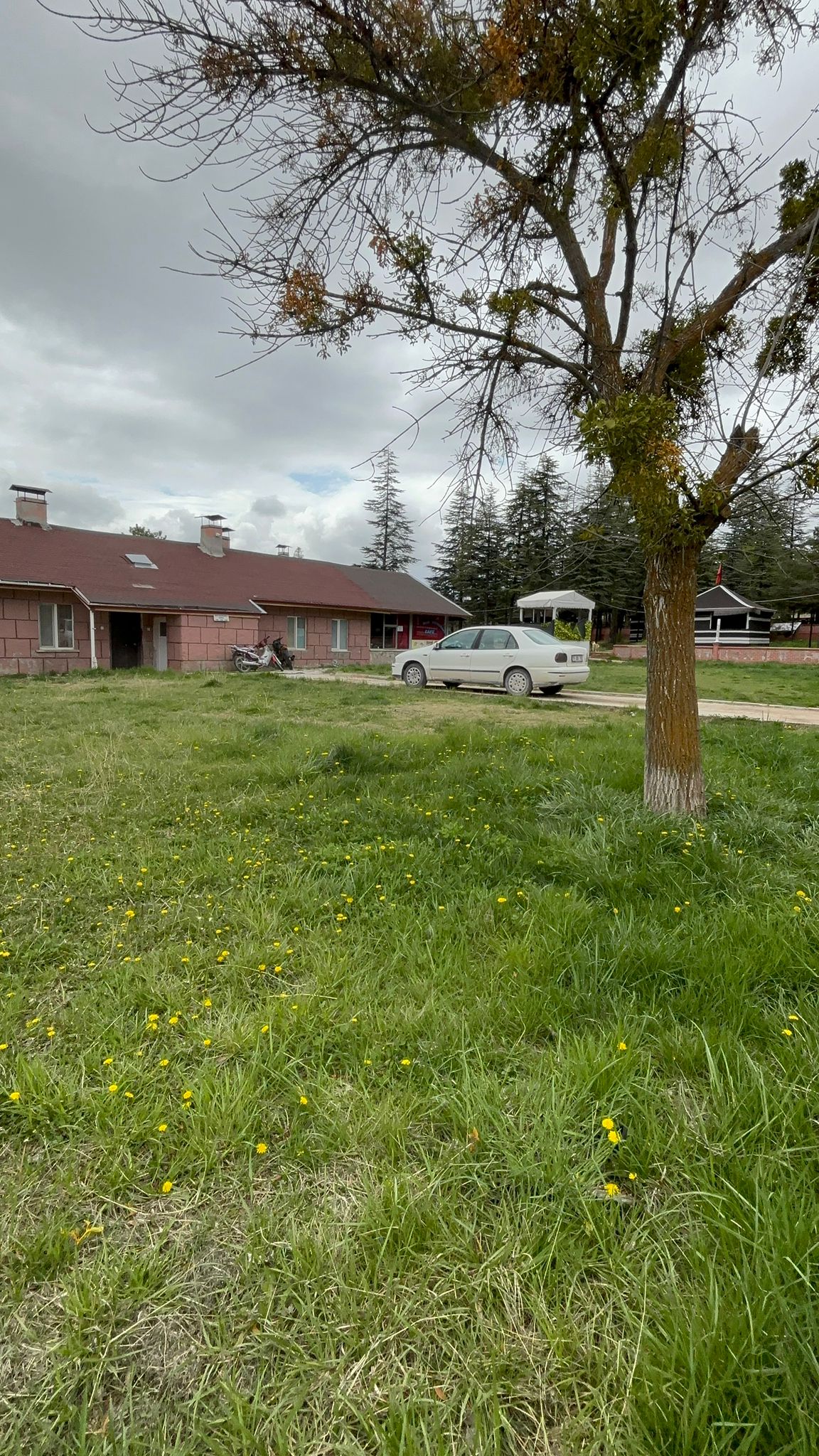 MARTI BALIK RESTAURANT HELİMİN YERİ 0536 946 81 82