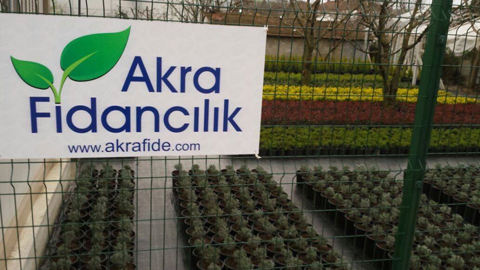 AKRA FİDANCILIK Yalovada Fidancılık Yapanlar