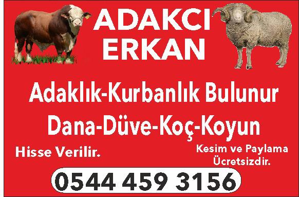 ADAKÇI ERKAN 0544 459 31 56 ONDOKUZ MAYISTA ADAKLIK