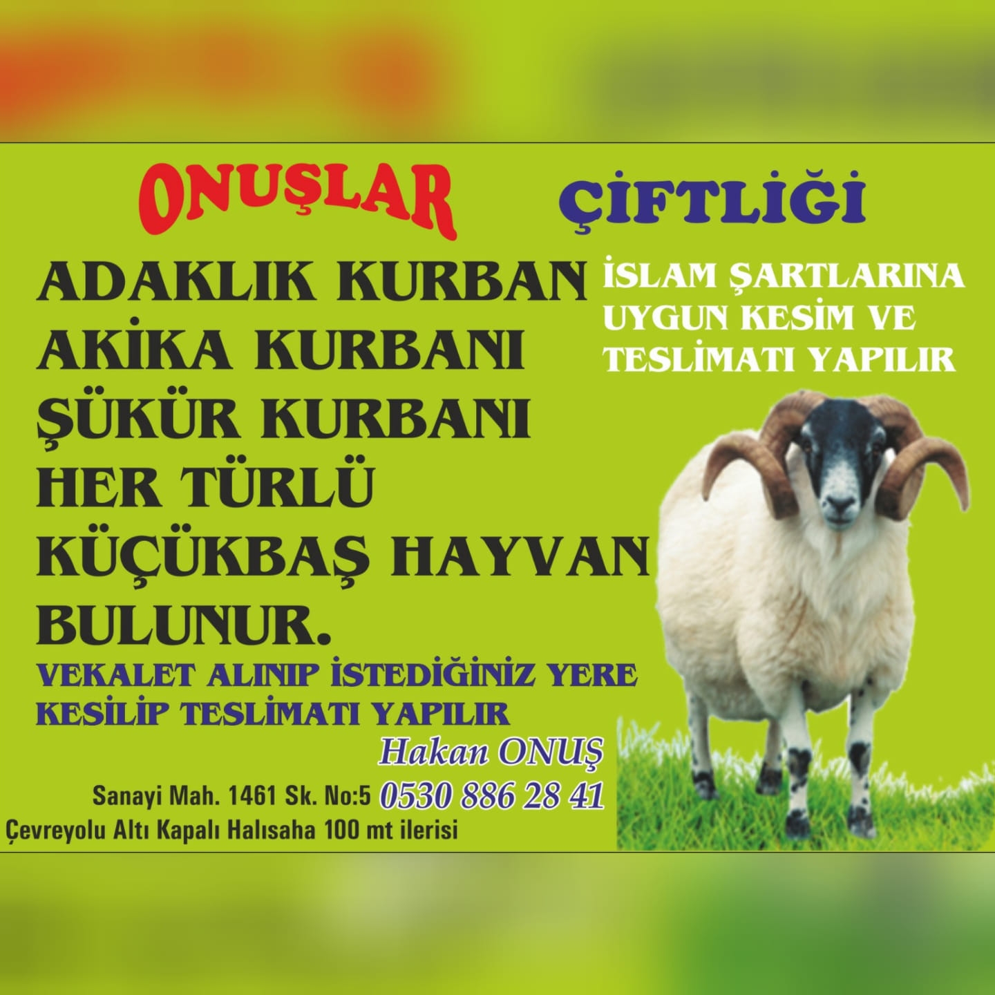 ONUŞLAR ÇİFTLİĞİ 0530 886 28 41 