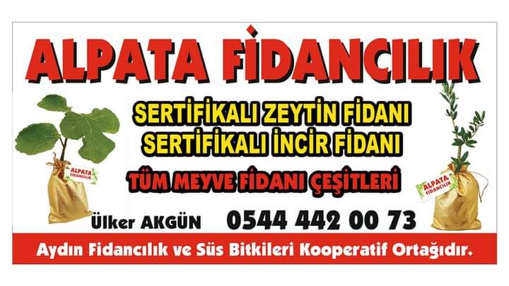 ALPATA FİDANCILIK 0544 442 00 73 BOZDOĞANDA FİDAN