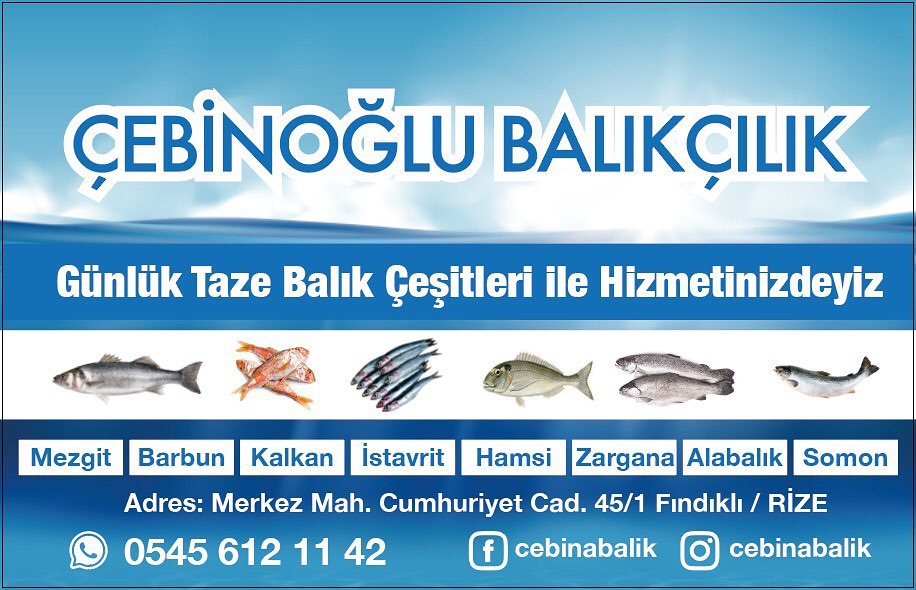 ÇEBİNOĞLU BALIKÇILIK 0545 612 11 42 FINDIKLIDA BALIK