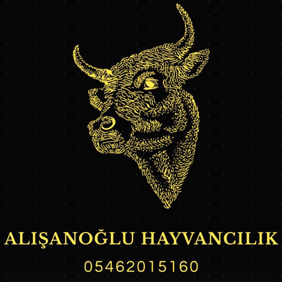 ALİŞANOĞLU HAYVANCILIK 0546 201 51 60 ÇALDA KURBANLIK