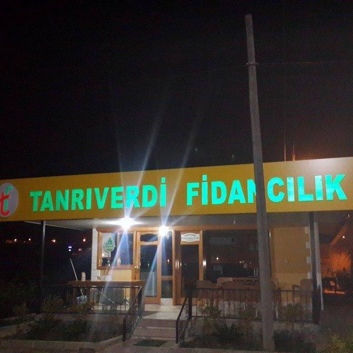 TANRIVERDİ FİDANCILIK 0530 544 90 78 KOZANDA FİDAN