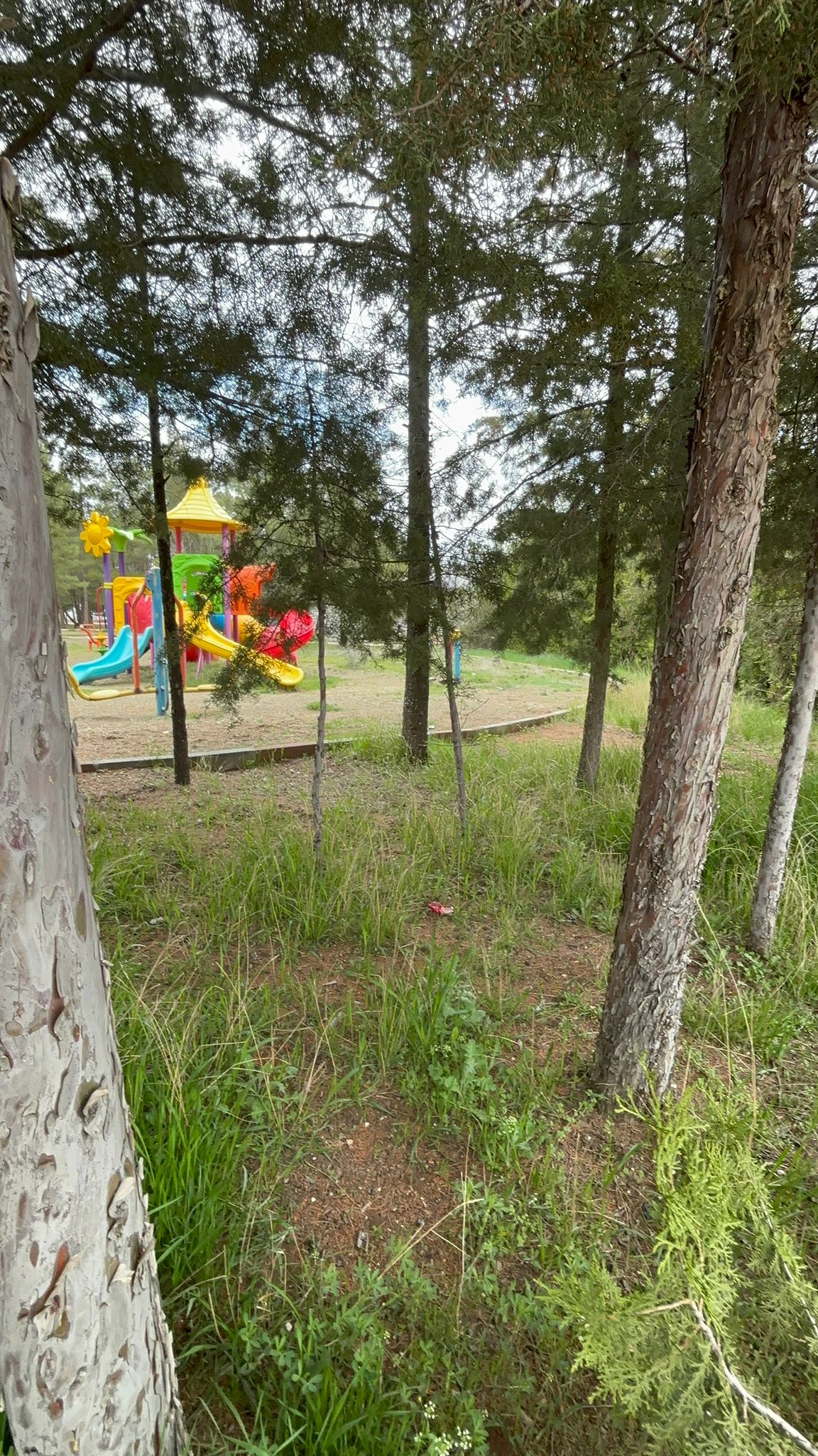 MARTI BALIK RESTAURANT HELİMİN YERİ 0536 946 81 82