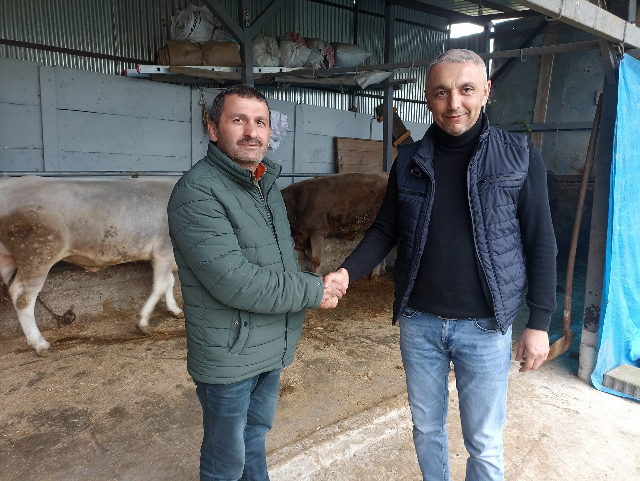 Çelik Hayvancılık Akçakoca da Hayvancılık Besicilik
