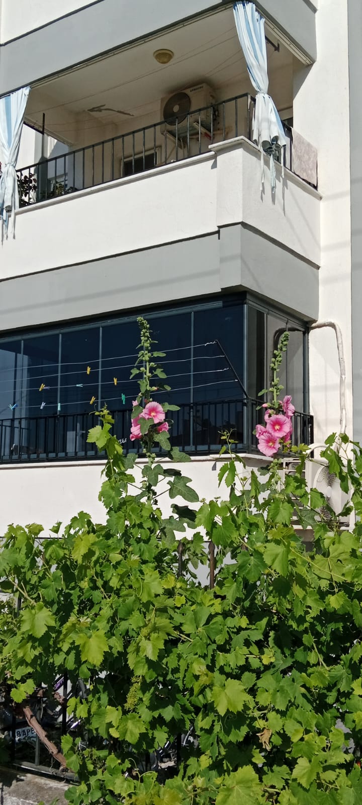 Karadeniz Alüminyum Cam balkon eşikli eşitsiz sürme korkuluk düsakabin plise sineklik