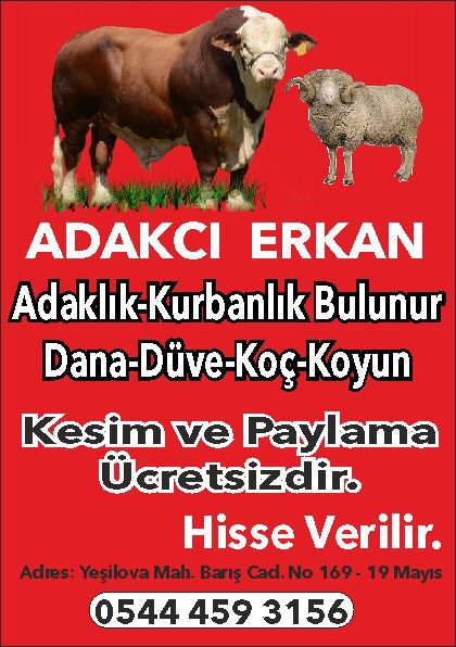 ADAKÇI ERKAN 0544 459 31 56 ONDOKUZ MAYISTA ADAKLIK