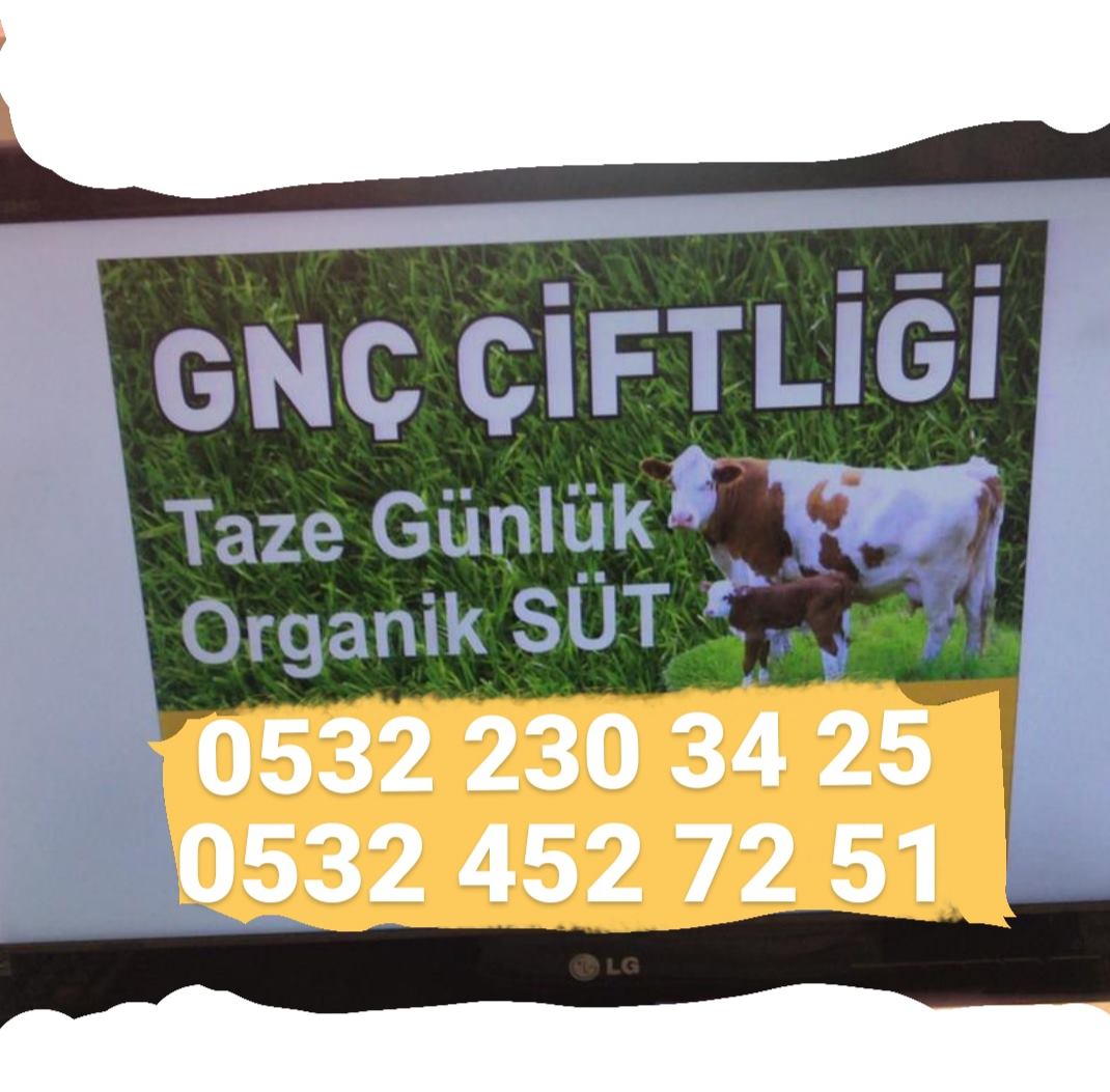 GNC ÇİFTLİĞİ 0532 230 34 25  Gebzede Kurbanlık Satışı