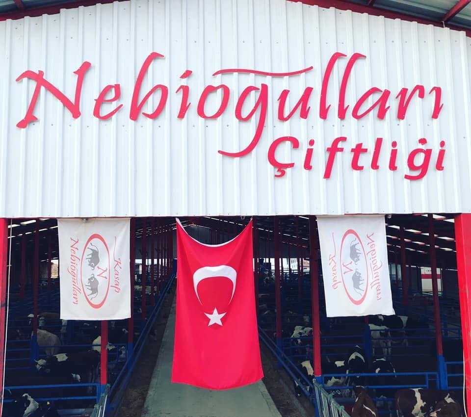 NEBİOĞULLARI KASAP 0539 362 42 32 TAVASTA KASAP