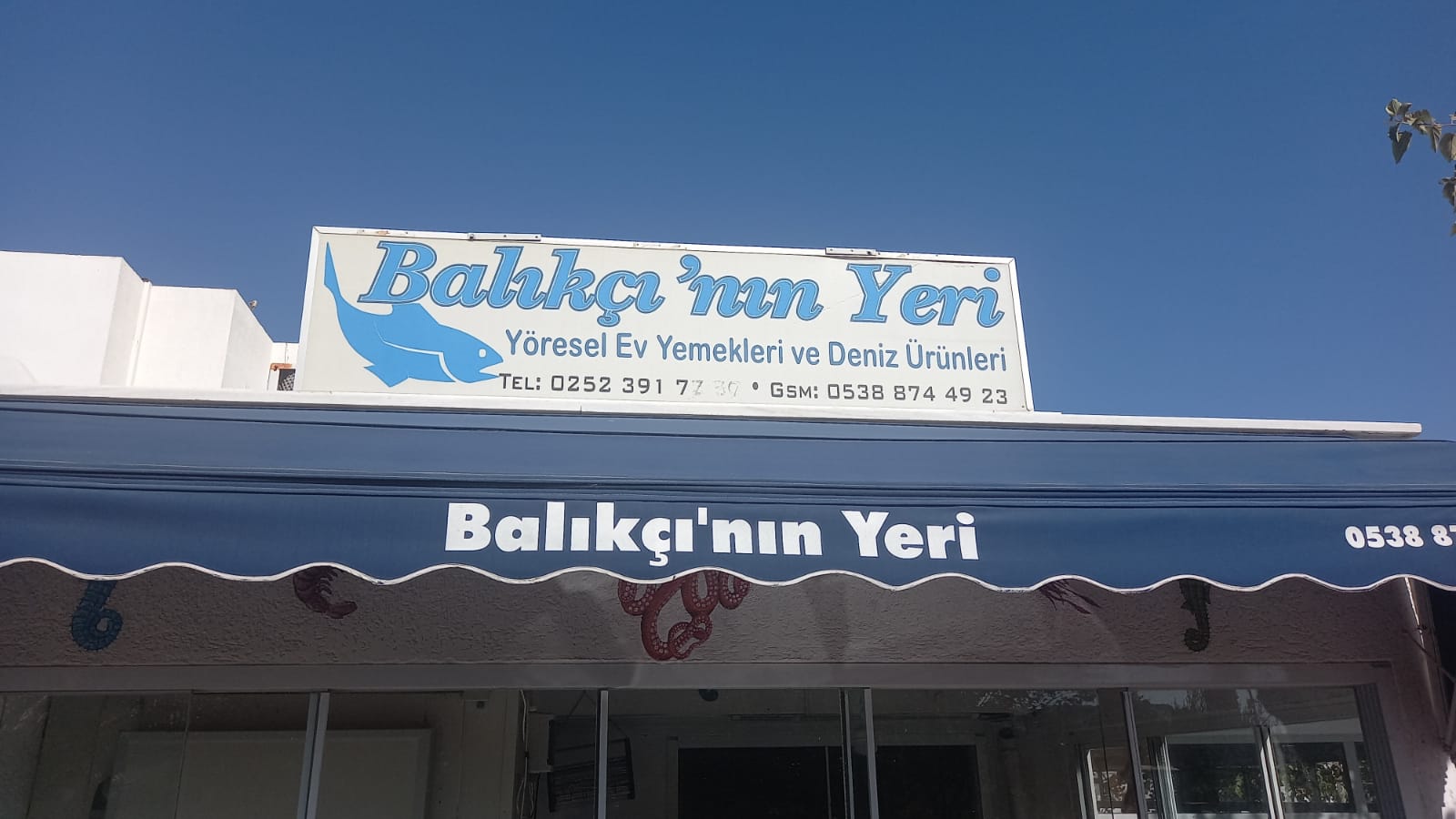 BALIKÇININ YERİ 0538 874 49 23 BODRUMDA BALIKÇI