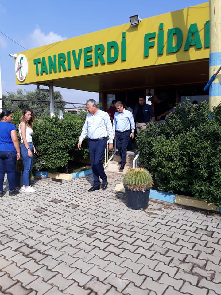 TANRIVERDİ FİDANCILIK 0530 544 90 78 KOZANDA FİDAN