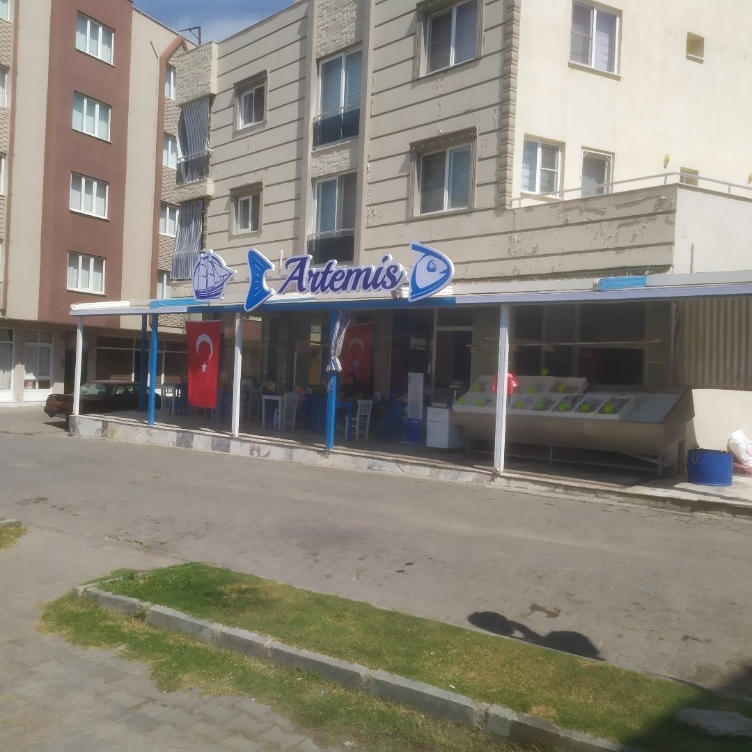 ARTEMİS ÇİNE BALIKÇISI 0551 094 29 70