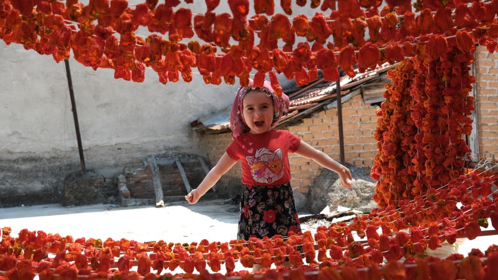 Öz Kabakçıoğlu Yerli Ürünleri Ticaret Nazilli de Yerli Ürünler