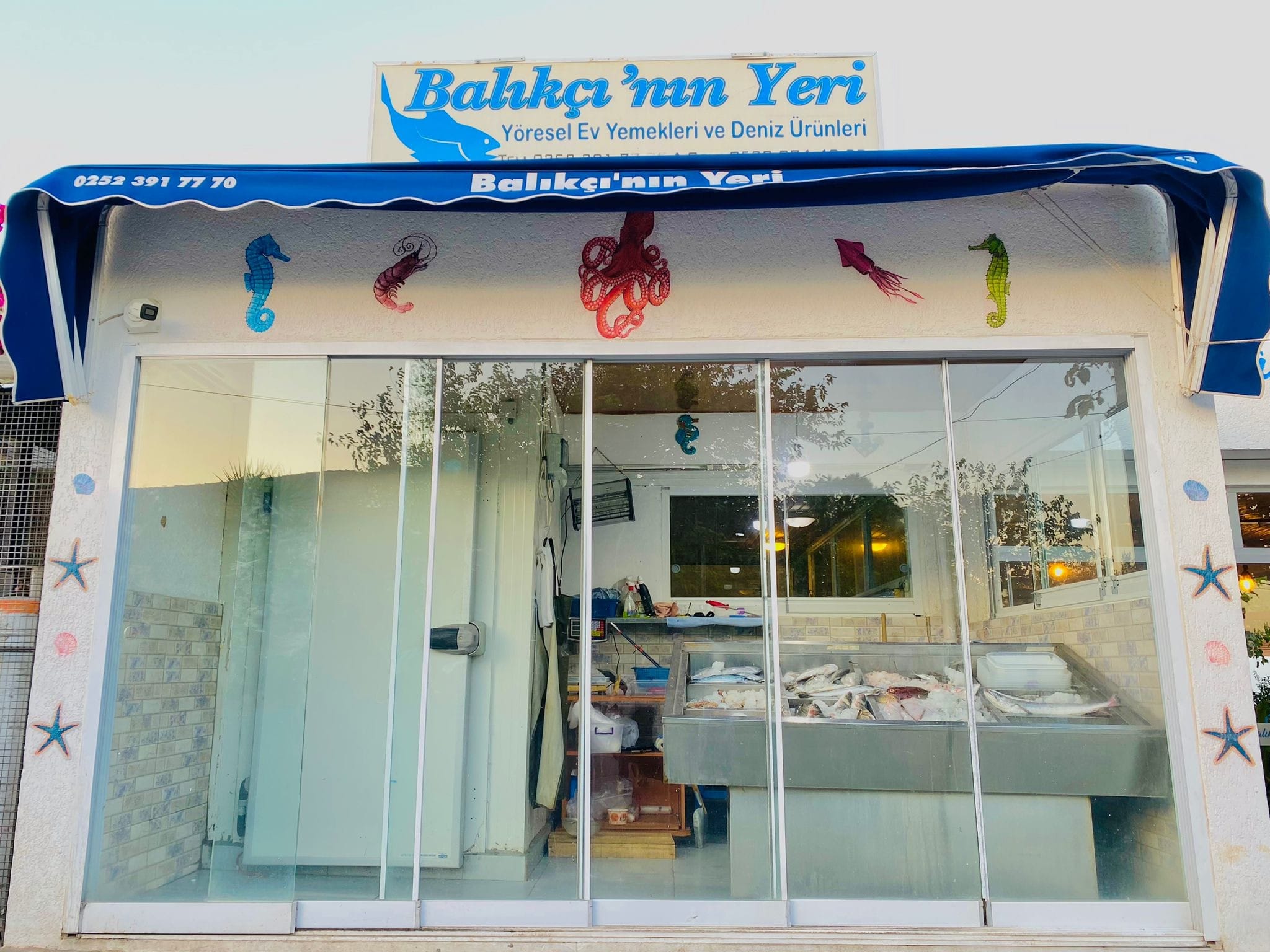 BALIKÇININ YERİ 0538 874 49 23 BODRUMDA BALIKÇI