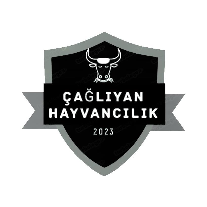 ÇAĞLIYAN HAYVANCILIK 0530 952 07 92 ÇELEBİDEKURBANLIK