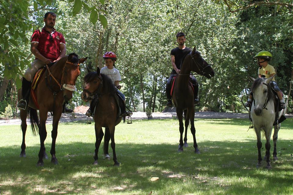 KARTEPE AT ÇİFTLİĞİ Kartepede At Biniciliği,