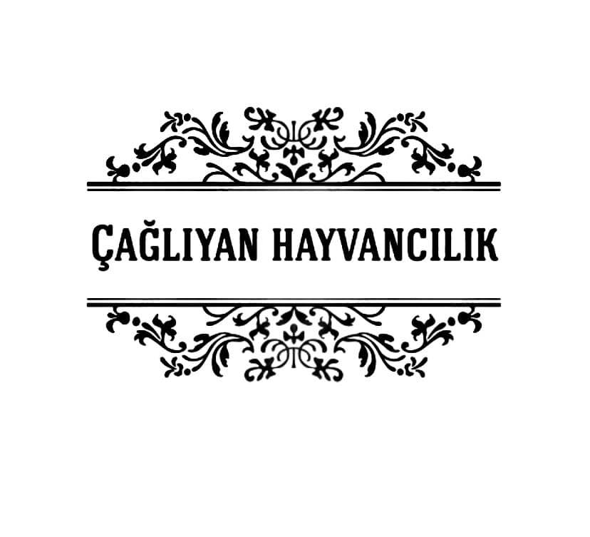 ÇAĞLIYAN HAYVANCILIK 0530 952 07 92 ÇELEBİDEKURBANLIK