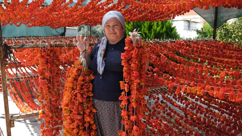 Öz Kabakçıoğlu Yerli Ürünleri Ticaret Nazilli de Yerli Ürünler