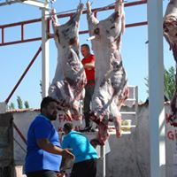 ÇAVDAR BESİ ÇİFTLİĞİ  Afyonkarahisarda Kurbanlık Adaklık Satanlar