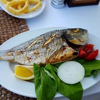 FISH VAR İstinyede Balık Nerede Yenir