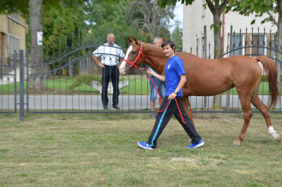 MİRAJ ATLI SPOR BİNİCİLİK Körfezde At Biniciliği