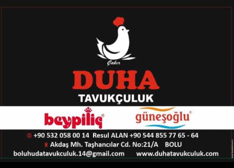 DUHA TAVUKÇULUK 0544 855 77 65 BOLUDA TAVUK PİLİÇ