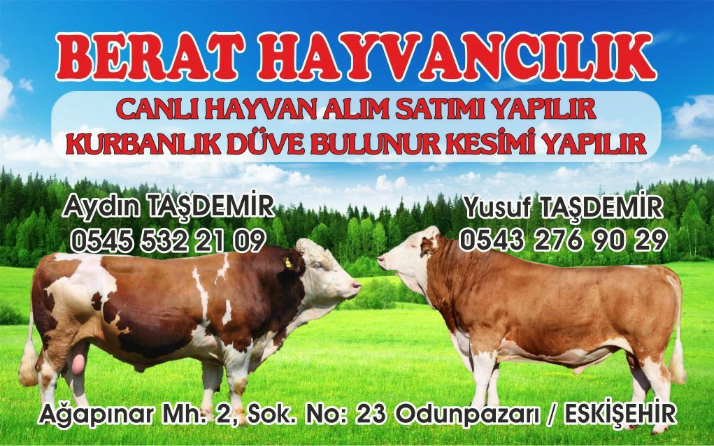 BERAT HAYVANCILIK 0545 532 21 09 