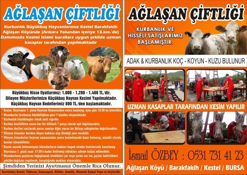 AĞLAŞAN ÇİFTLİĞİ 0531 731 41 23 KESTELDE KURBANLIK SATANLAR