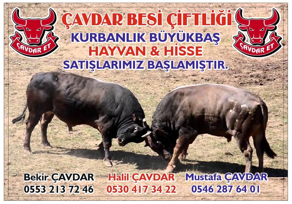 ÇAVDAR BESİ ÇİFTLİĞİ  Afyonkarahisarda Kurbanlık Adaklık Satanlar