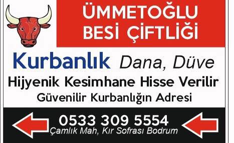 ÜMMETOĞLU BESİ ÇİFTLİĞİ Bodrumda Büyükbaş Besi Çiftlikleri