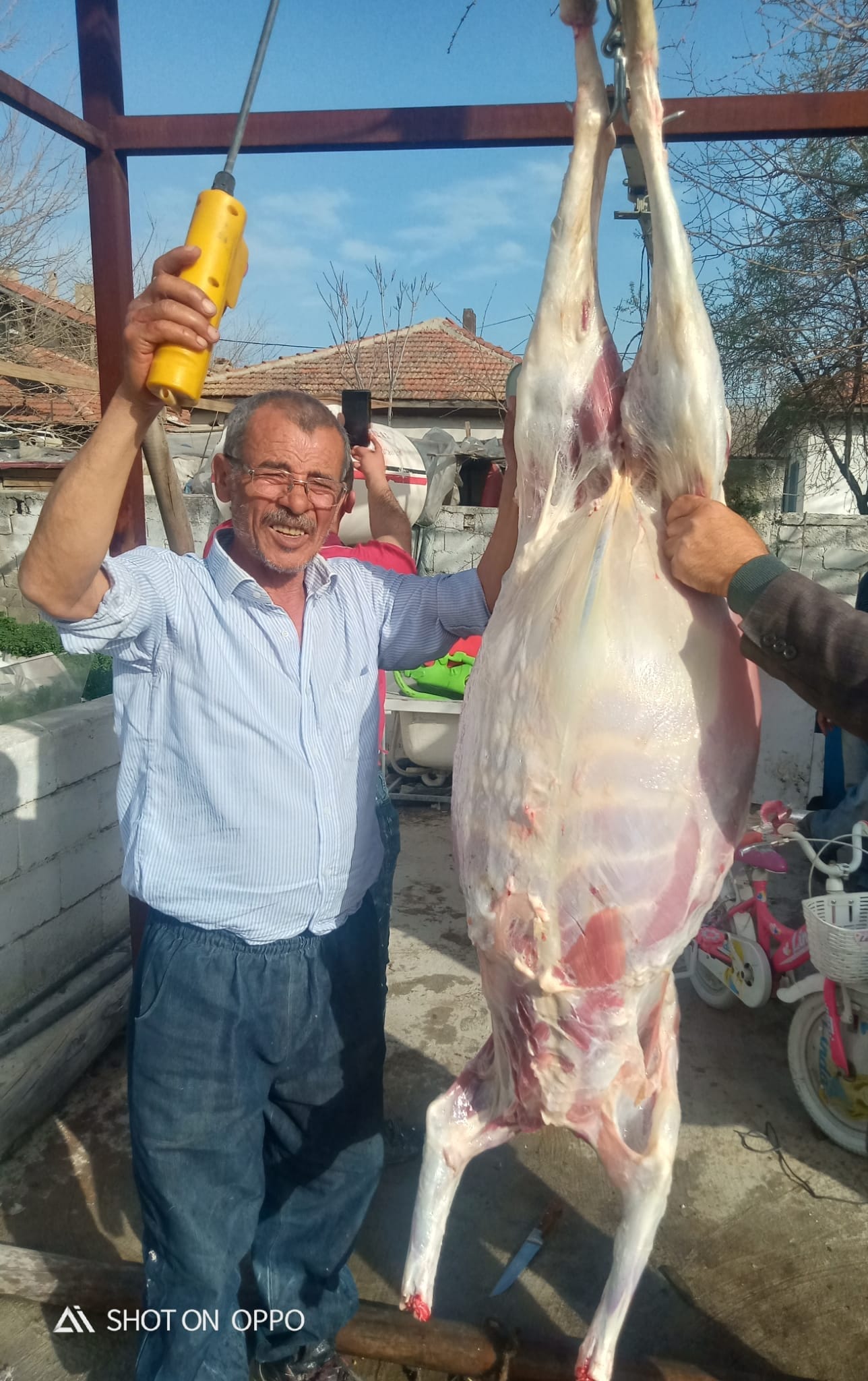 MEMİŞ AĞA BESİCİLİK Pamukkalede Küçükbaş Kurbanlık Satanlar