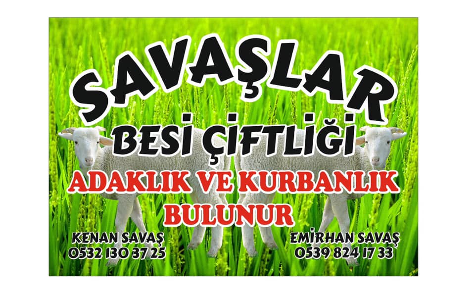 SAVAŞLAR BESİ ÇİFTLİĞİ Balıkesirde Kurbanlık Adaklık Satanlar