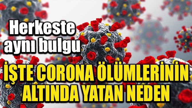 KORONA NEDEN ÖLÜMCÜL!